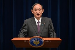 Thủ tướng Nhật Bản sẽ không tranh cử Chủ tịch LDP