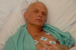 Điện Kremlin bác bỏ phán quyết về vụ Alexander Litvinenko