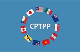 Anh đàm phán với 11 quốc gia thành viên CPTPP