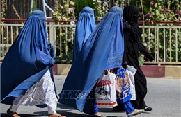 Taliban sẽ tạm thời áp dụng hiến pháp quân chủ, trao quyền cho phụ nữ