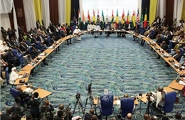 ECOWAS trừng phạt giới lãnh đạo quân sự Mali và Guinea