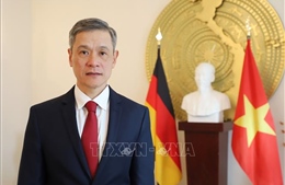 Đại sứ Việt Nam tại Đức: Công tác ngoại giao vaccine được thực hiện bài bản, hiệu quả