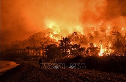 Cháy rừng tiếp diễn tại Hy Lạp