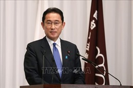 Nhật Bản: Tân Chủ tịch đảng LDP Kishida cân nhắc nhân sự cấp cao