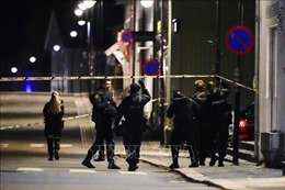 Nghi phạm dùng cung tên sát hại 5 người ở Na Uy bị nghi ngờ theo chủ nghĩa cực đoan