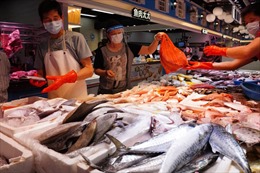 Bùng phát bệnh nhiễm trùng nguy hiểm liên quan đến nguồn cá nước ngọt ở Hong Kong