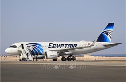 Ai Cập bác tin đồn bán hãng hàng không quốc gia EgyptAir