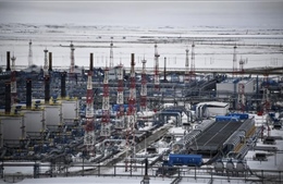Đường ống dẫn khí Yamal-châu Âu hoạt động theo chế độ ngược lại ngày thứ năm liên tiếp