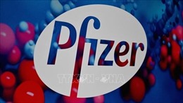 Pfizer đạt được thỏa thuận cung ứng thuốc điều trị COVID-19 trên toàn cầu