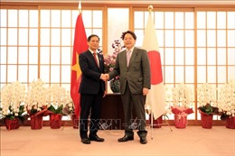 Hội đàm giữa hai bộ trưởng Ngoại giao Việt Nam và Nhật Bản