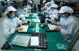 Việt Nam - điểm sáng trong quá trình phục hồi chuỗi cung ứng Đông Nam Á