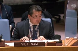 Việt Nam đã nỗ lực thực thi nhiệm vụ Chủ tịch Ủy ban của HĐBA về Nam Sudan