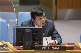 Việt Nam kêu gọi Bộ Tứ thúc đẩy tiến trình hòa bình Trung Đông