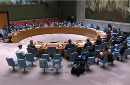 HĐBA thông qua nghị quyết gia hạn nhiệm vụ của UNDOF và AMISOM