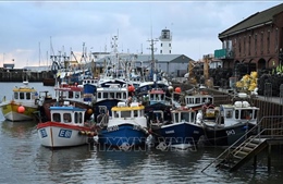 EU và Anh đạt thỏa thuận về hạn ngạch đánh bắt cá