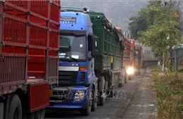 Tham tán Thương mại Việt Nam tại Trung Quốc: Cần điều tiết hàng hóa ngay từ đầu nguồn