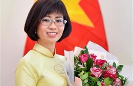 Đại sứ Lê Thị Hồng Vân: Năm thành công của ngoại giao văn hóa Việt Nam