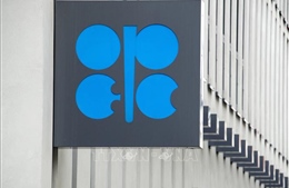 Lựa chọn an toàn của OPEC+