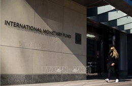 IMF hoãn công bố báo cáo Triển vọng Kinh tế Thế giới 