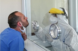 Biến thể Omicron lây lan mạnh tại nhiều nước