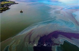Thái Lan nỗ lực kiểm soát dầu tràn trên biển