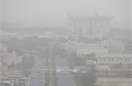 Báo động về hệ quả nghiêm trọng của ô nhiễm không khí
