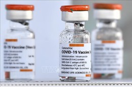 Tìm lời giải về hiệu quả của hai loại vaccine CoronaVac và VeroCell