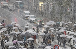 Cảnh báo tuyết rơi nhiều tại trung tâm Tokyo lần đầu tiên trong 4 năm