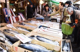 Kim ngạch xuất khẩu nông, lâm, hải sản của Nhật Bản tiếp tục tăng kỷ lục