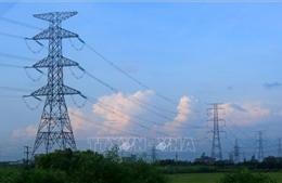 Ký hợp đồng 2 gói thầu xây lắp nhập khẩu điện từ Lào về Việt Nam