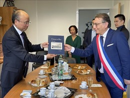 Tăng cường quan hệ hợp tác hữu nghị truyền thống giữa Việt Nam và Pháp 