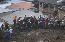 Số người thiệt mạng do mưa lũ tại Brazil tăng lên trên 170 người