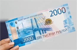 Ngân hàng Trung ương Nga sẵn sàng hỗ trợ ổn định tài chính