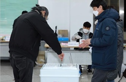 Công bố kết quả thăm dò dư luận bầu cử Tổng thống Hàn Quốc
