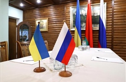 Thổ Nhĩ Kỳ thông báo về cuộc gặp ba bên với Nga và Ukraine
