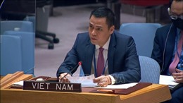 Việt Nam đề cao duy trì hòa bình thúc nhằm thúc đẩy phát triển toàn cầu