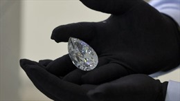 Trưng bày viên kim cương trắng khổng lồ &#39;The Rock&#39;