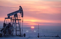 Giá dầu thế giới giảm hơn 2% 