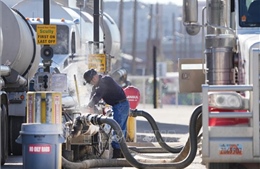 Giá dầu tiếp tục giảm, chứng khoán khởi sắc