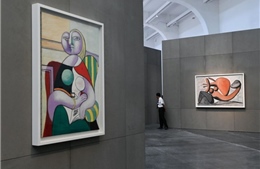 Độc đáo triển lãm tranh của Pablo Picasso tại Senegal