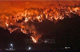 Cháy rừng lan nhanh đe dọa nhiều nhà cửa ở Đông Bắc Hàn Quốc