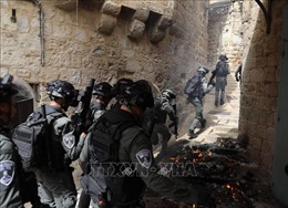 Đụng độ tái diễn giữa cảnh sát Israel và người Palestine tại khu đền Al-Aqsa