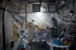 Dịch Ebola tái bùng phát tại Congo