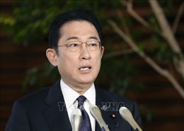 Tỷ lệ ủng hộ nội các của Thủ tướng Nhật Bản Kishida Fumio tiếp tục tăng