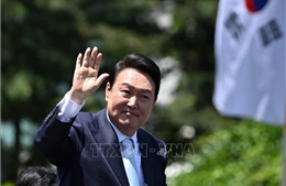 Hàn Quốc: Tỷ lệ ủng hộ đảng Quyền lực Quốc dân cao nhất trong 7 năm qua