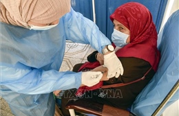Chuyên gia Algeria kêu gọi tiếp tục mở rộng tiêm chủng ngừa COVID-19