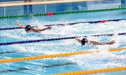 SEA Games 31: Khởi tranh các nội dung thi đấu của bộ môn Bơi