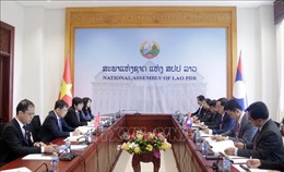 Tăng cường hợp tác giữa hai Ủy ban Đối ngoại Quốc hội của Việt Nam và Lào