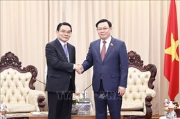Chủ tịch Quốc hội Vương Đình Huệ tiếp Bí thư, Tỉnh trưởng tỉnh Champasak của Lào