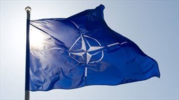 Áo khẳng định không có ý định gia nhập NATO